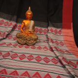 Enticing Black Cotton Handloom Saree with Red Border